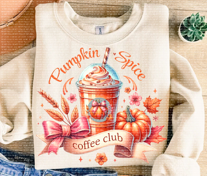 Pumpkin Spice sweatshirt